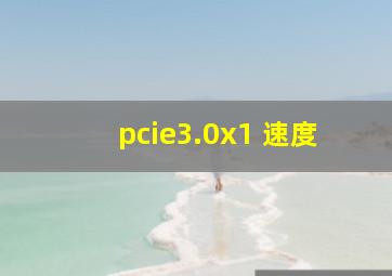 pcie3.0x1 速度